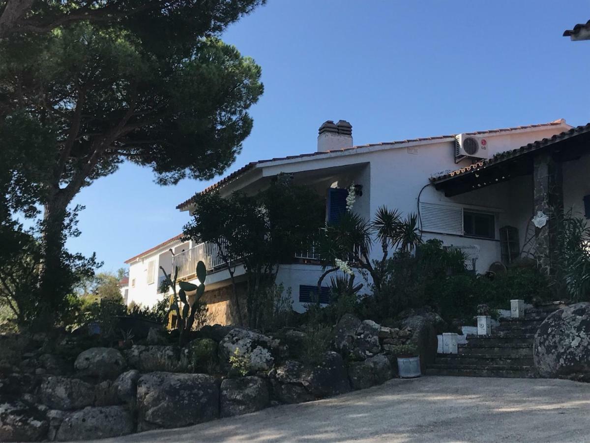Sea Pres Des Golfs Villa Santa Cristina d'Aro Bagian luar foto